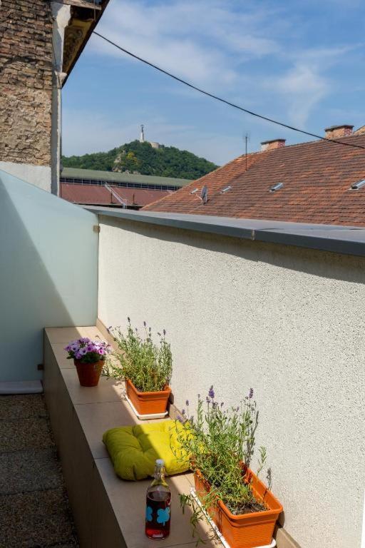Erkel Rooftop Suites Budapešť Exteriér fotografie